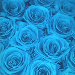 Meet your Posher, Farishta